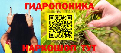 гашиш Можга