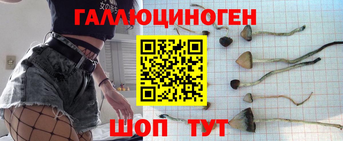 продажа наркотиков  Псилоцибиновые грибы мухоморы  Вход с VPN  Пятигорск  Галлюциногенные грибы Psilocybine cubensis 