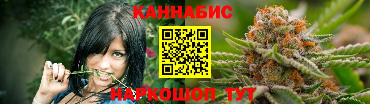 Конопля план Пятигорск